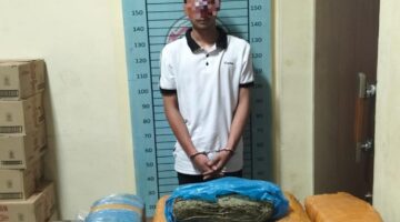 Sat Narkoba Polres Agara Gagalkan Peredaran Ganja, Puluhan Kilogram Diamankan di Kecamatan Ketambe